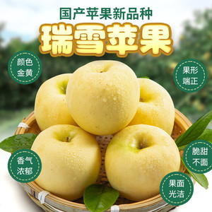 稀有瑞雪苹果紧实脆甜多汁无农药孕妇新鲜水果带皮吃野生农家少见