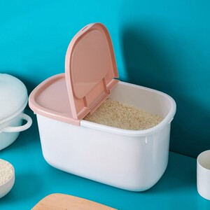 米桶防虫防潮密封家用米面收纳箱日式小清新家用米缸厨房收纳米盒