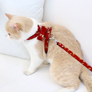 猫咪牵引绳防挣脱可调节外出溜猫绳子幼猫小奶猫可爱铃铛遛猫链子