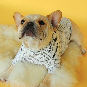 宠物背心胖狗法斗柯基衣服黑白杂志风t恤英斗复古狗服饰 一手