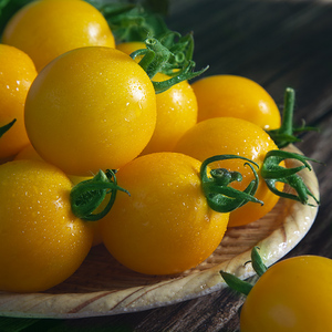 黄妃小番茄5斤应当季新鲜时令蔬菜西红柿1斤皇妃圣女果黄千禧番茄