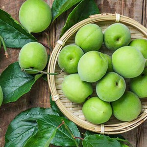 云南高山新鲜青梅果水果大果5斤丽江照水梅野生酸梅子泡酒现摘发