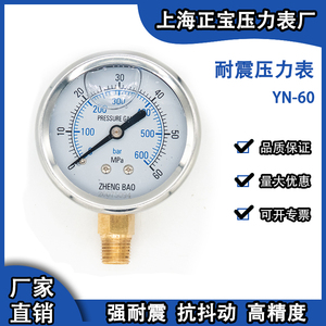 YN60径向不带边压力表定制特殊螺纹刻度液压气压油压一表多用安装