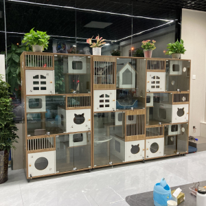 宠物展示柜定制猫舍橱窗玻璃猫窝宠物店猫笼子猫柜猫寄养柜猫别墅