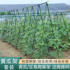 户外庭院园艺黄瓜爬藤架子蔬菜豆角丝瓜绿植花卉植物阳台支撑架子