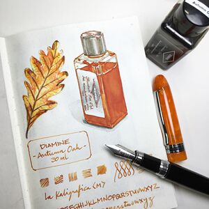 戴阿米普色现货暮光梅鹿汁成犊之魂焦茶伯爵灰北极光7人付款28