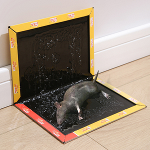 老鼠粘板强力粘胶耗子粘纸贴粘鼠毯贴隐形鼠板大号黏贴板加长神贴