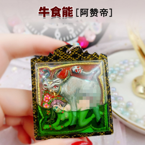 泰国佛牌真品 阿赞帝 牛食能吊坠 马食能 艺铉佛尚亚克力防水外壳
