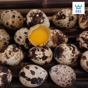 鹌鹊蛋