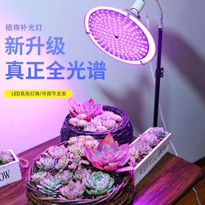 LED全光谱大棚多肉补光灯瓜果草莓花卉育苗灯室内阳台植物生长灯
