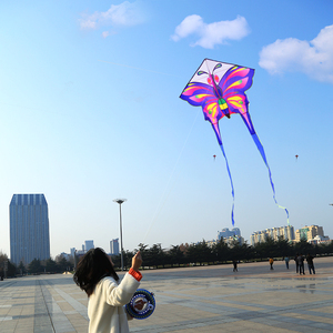 长尾蝴蝶风筝儿童初学者新手小号高档成人微风易飞放风筝纸鸢可爱