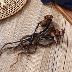 海南五指山野生灵芝王50g小红灵芝竹灵芝片整棵灵芝免费打灵芝粉