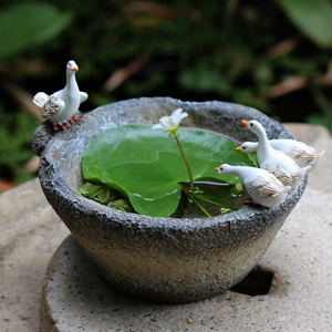 小白鸭子水培花盆一叶莲铜钱草花器庭院花园装饰摆件复古仿石臼盆