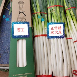 山东章丘特级大葱葱王礼盒顺丰包邮章丘产地直发脆甜大葱
