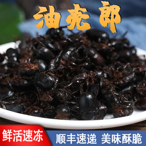 可食用昆虫小吃油壳螂金龟子活体可油炸地蚕云南特产虫子宴黑瞎创