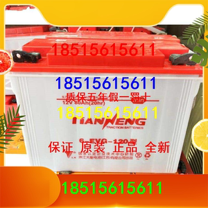 水电瓶180型120ah天能电动三轮车四轮巡逻车载客车牵引蓄电池