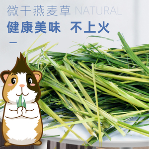 2021年烘干燕麦草500g兔子荷兰猪豚鼠龙猫天竺鼠干草代提摩西牧草