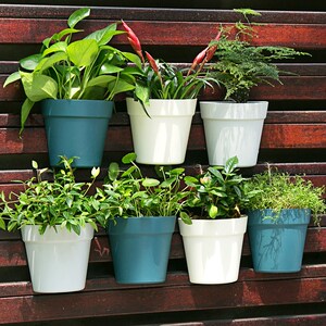 创意挂壁水培壁挂花盆 懒人绿萝墙壁塑料挂式墙上挂墙悬挂式花盆