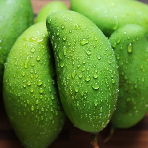 云南生吃象牙芒酸脆小青芒孕妇水果 皮薄肉厚新鲜当季现摘1斤包邮