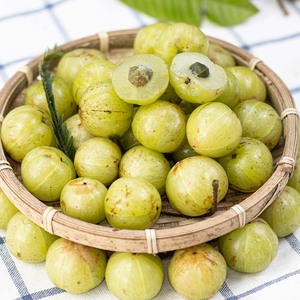 云南野生滇橄榄新鲜余甘果牛油柑果孕妇酸余甘子鲜果500g现摘包邮