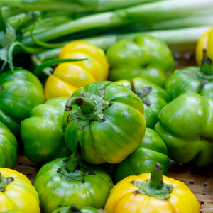 野生小苦子果蔬菜苦果苦子果撒撇原料泰国小茄子心在遥远lll25