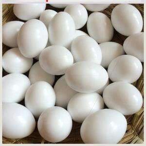 【假蛋蛋】假蛋蛋品牌,价格 - 阿里巴巴