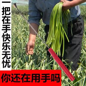 抽蒜苔神器 家用蒜薹提打拔蒜苔神器的工具蒜台收割刀划蒜苔神器