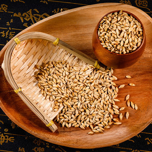 804人付款天猫中药材炒麦芽回奶中草药500g麦芽大麦芽茶断奶另售山楂