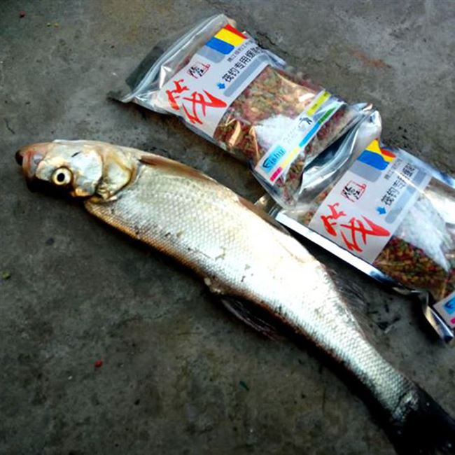 腾江筏钓窝料筏钓饵料米翘筏钓打窝器专用缓降饵料翘嘴颗粒饵微铅