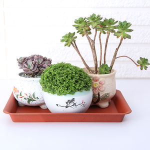 长方形加厚花盆托盘树脂接水盘塑料底盘花卉多肉超大盆景家用底托