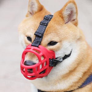 狗笼嘴套大狗狗狗嘴套拉布拉多兔子小号斗牛犬中幼犬狗子柴犬中型