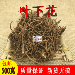 云南中药材叶下花 追风箭 叶下花根 云南叶下花500克包邮有叶上花