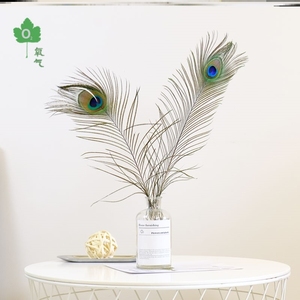 孔雀羽毛插瓶装饰花瓶摆件客厅装饰品家居翎尾羽diy材料配件落地.