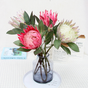 仿真欧式普罗霸王花帝王花假花插花摆件客居酒店铺装饰道具花单支