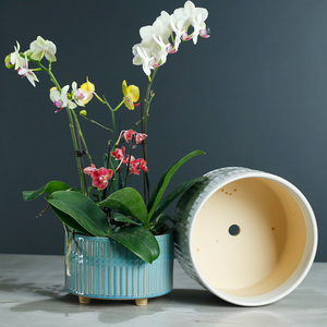 北欧简约蝴蝶兰专用陶瓷花盆粗陶透气大号新款兰花盆时尚家用客厅