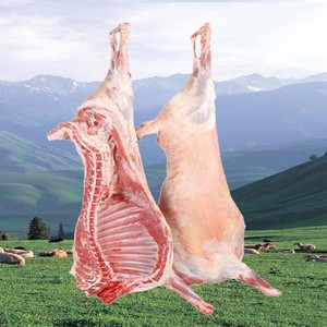 内蒙古巴盟农家散养现杀新鲜白条羊肉冷链运输整只半只羊酮体