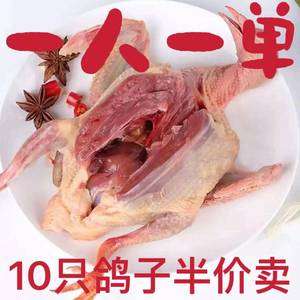 乳鸽农家散养杂粮喂养现杀活体土鸽新鲜鸽肉肉鸽新鲜鸽子肉5只装