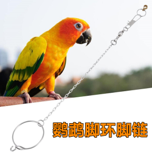 鸟用脚链不锈钢铜脚环u型开口虎皮牡丹玄风鹦鹉脚链八哥脚环轻便