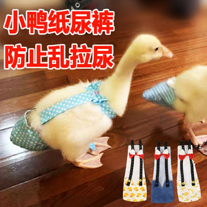 柯尔鸭纸尿裤屎兜小鸭子穿的尿不湿防止乱拉接屎尿粪便屁股兜衣服