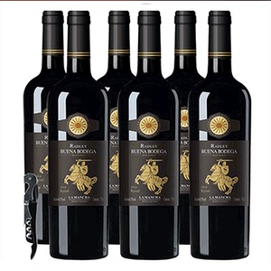 西班牙原瓶进口红酒西拉子干红葡萄酒整箱6支2支/*750ml/支 正品