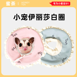 宠物伊丽莎白圈蜜袋鼯仓鼠幼猫荷兰猪防咬防舔防抓项圈可调节头套