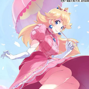 c104 超级玛丽超级马里奥兄弟碧琪公主动漫本子二次元11本