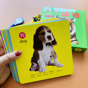 婴儿小孩子认识动物的图片动物大全1-2-3-4岁学习看图认动物幼儿图书