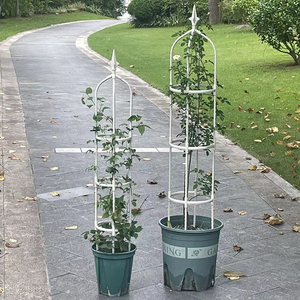 植物攀爬花支架番茄固定支撑杆飘香藤爬藤架园艺盆栽月季玫瑰支架
