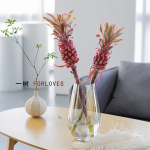 一树|黑凤梨小菠萝花鲜切枝进口鲜切花粉色原色花云南直发2扎顺丰