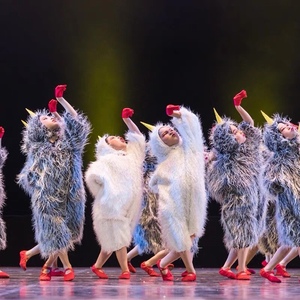 第十一届小荷风采我骄傲舞蹈服小鸡演出服六一儿童动物表演服少儿
