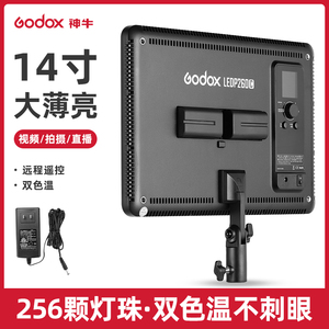 godox神牛P260C摄影棚直播led补光P120C拍照室内人像视频打光拍摄手持便携小型单反相机柔光摄影灯平板补光灯