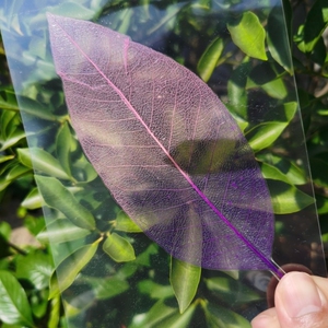 tb622603412淘宝植树节手工叶脉干花植物标本diy色素染色自制真叶脉