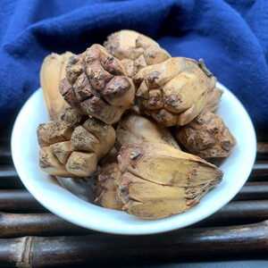 山菠萝 500g克 散装野菠萝 非野生中药材假菠罗滴血莲花露兜树籽