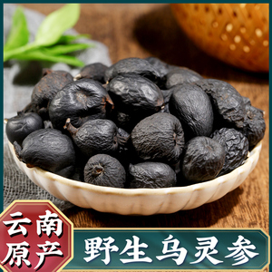 云南野生乌灵参鸡枞蛋雷震子乌灵参鸡茯苓吊金钟乌苓参中药材50克